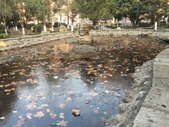-陕西师范大学(雁塔校区)