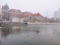 -海河游船-永乐码头(大悲院)