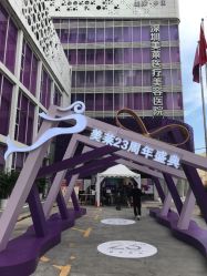 -深圳美莱医疗美容医院