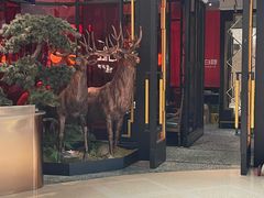 -新白鹿餐厅(城西银泰城店)