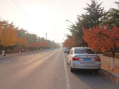 -旅顺留声机博物馆