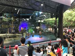 -清迈夜间动物园