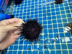 -滑记海鲜饭店·老字号(海鲜街店)