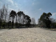 -苏州太湖国家湿地公园