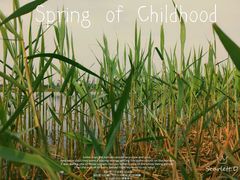 -洋湖国家湿地公园