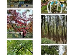 -共青国家森林公园-售票处