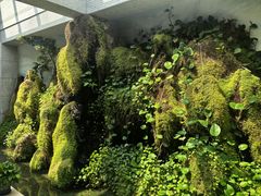 -海天一色海景自助餐厅(西港花园店)