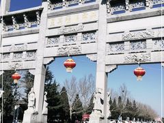 -龙口南山旅游景区