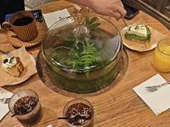 -自由生长植物工作室(深港花卉中心店)