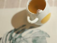 -吉丁鸟咖·异宠·寄养