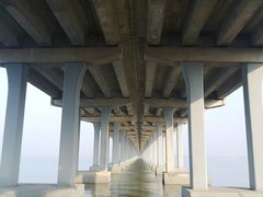 -宝安西湾红树林湿地公园