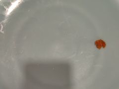 -天正河鲀·河豚亭(大连店)