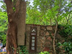 -张鸟园农家乐(张鸟园店)