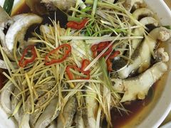 清蒸狗鱼-煲来饱去冷水鱼