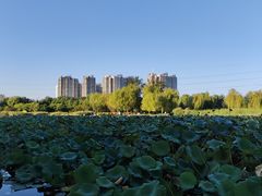 -太阳宫公园