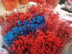 -溪岸路花鸟市场