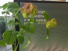 -Manner Coffee(大宁国际商业广场店)