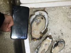 -蚝专家(北滘店)