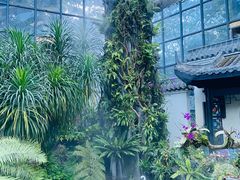 -东莞植物园
