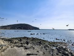 -烟墩角天鹅湖