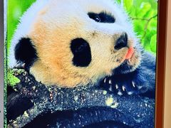 -中国湿地博物馆