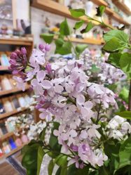 -今日陶艺(富力广场店)