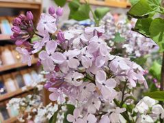 -今日陶艺(富力广场店)