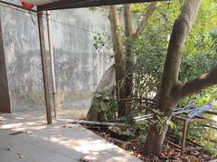 -大王岭农庄