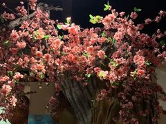 -蠔友汇(皇姑店)