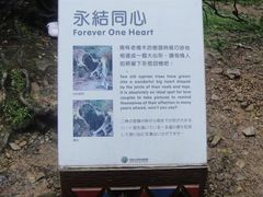 -阿里山神木遗迹
