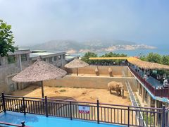 -西霞口神雕山野生动物世界