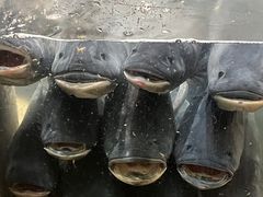 -上名堂·鱼头好吃(体育场路店)