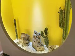 -得闲·高空SPA(东盟店)