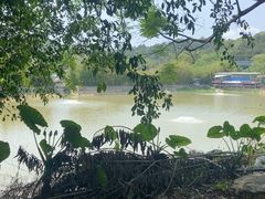 -芦仙山景区-飞越丛林探险乐园