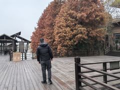 -溱湖国家湿地公园