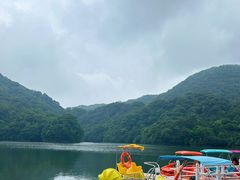 -广州市石门国家森林公园