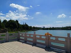 -洛龙公园