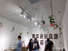 -成都失恋馆
