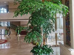 -北京丽景湾国际酒店