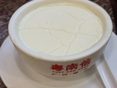 南信双皮奶-南信牛奶甜品专家