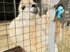 -意大利农场度假村