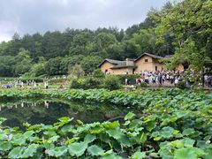 -韶山毛泽东同志故居
