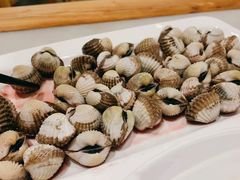 血蛤-华盛丰温州大排档(东三环南路店)