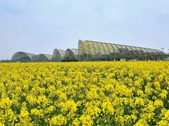 -中国天府农业博览园