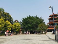 -神光山国家森林公园