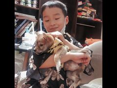 -逗柴咖啡屋·狗咖猫咖宠物桌游