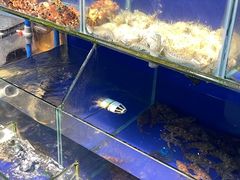 -红红海鲜大排档