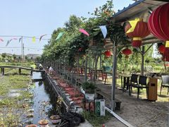 -同銮特种养殖场·龙虾垂钓