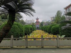 -四川大学(华西校区)