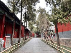 -洛阳白马寺